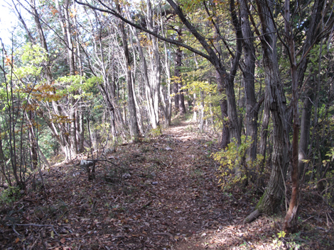 20161117hike (172)